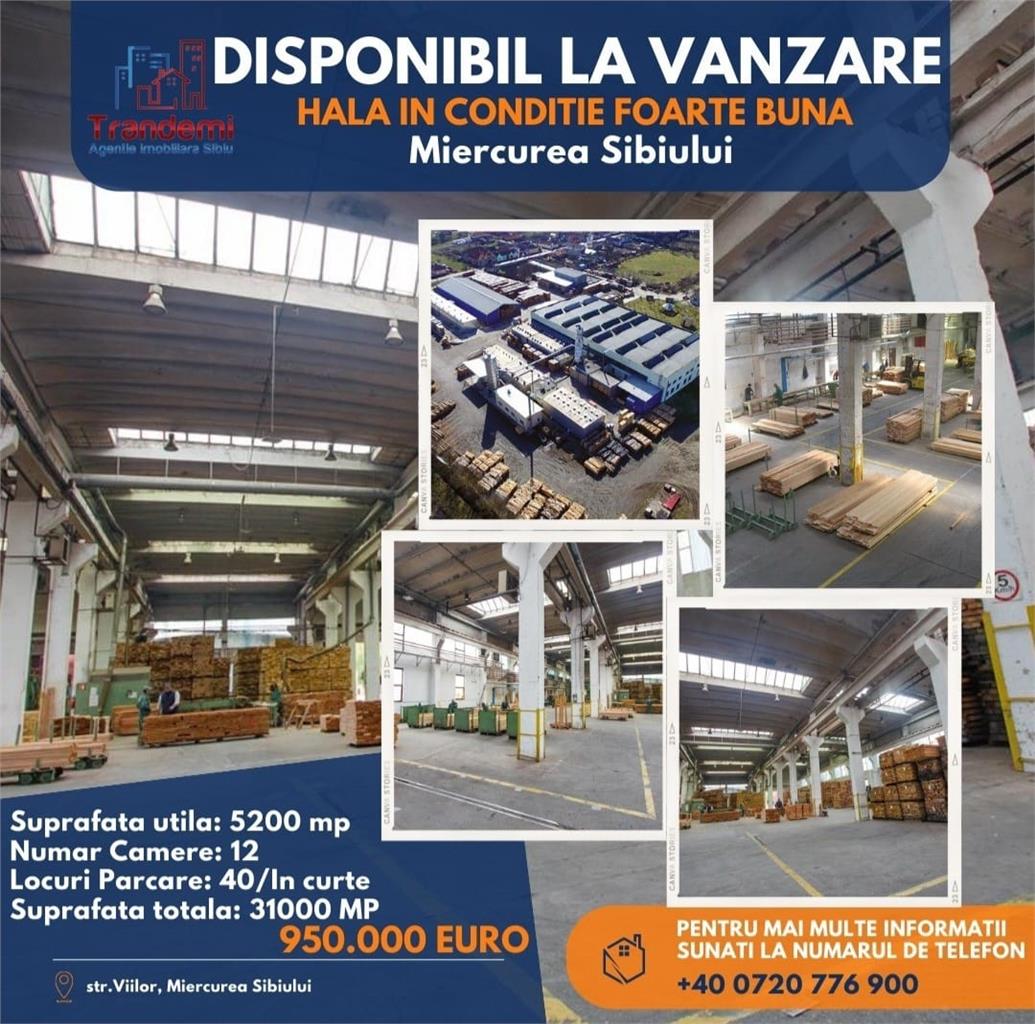 Proprietate industriala 5200mp cu 3,1 ha teren intravilan, in Miercurea Sibiului